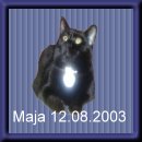 maja