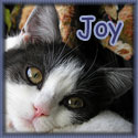 joy